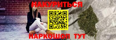 дмт Гатчина