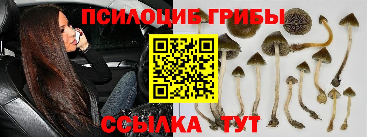 Орехово-Зуево  Псилоцибиновые грибы ЛСД  Вход с VPN 